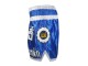 Lumpinee Blue Kick Boxing shorts with tassles : LUM-015